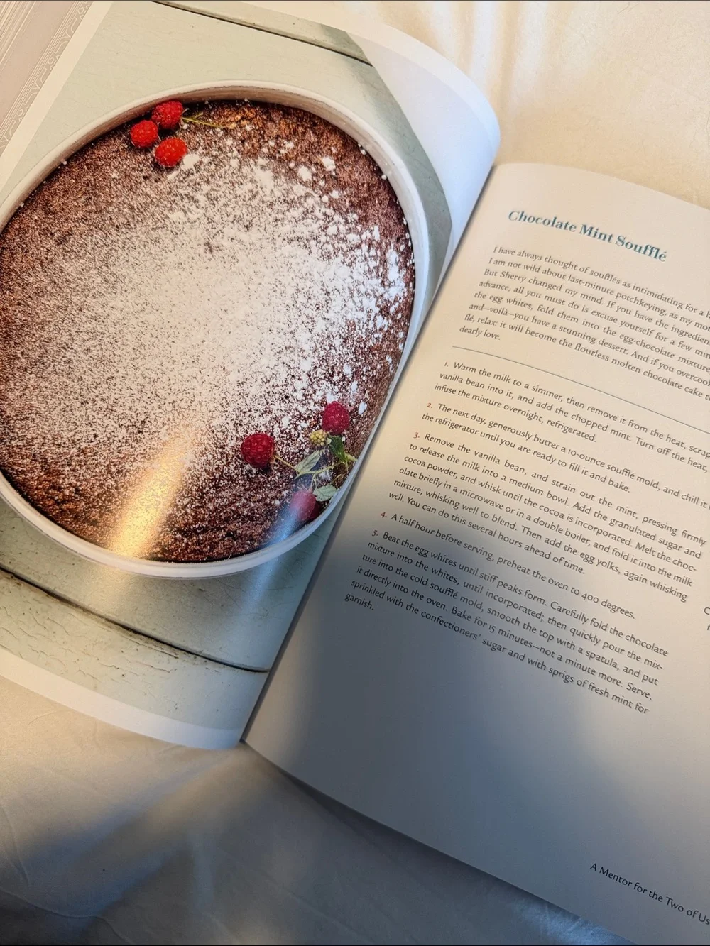 My Life in Recipes Food Family, and Memories by Joan Nathan - Hardback